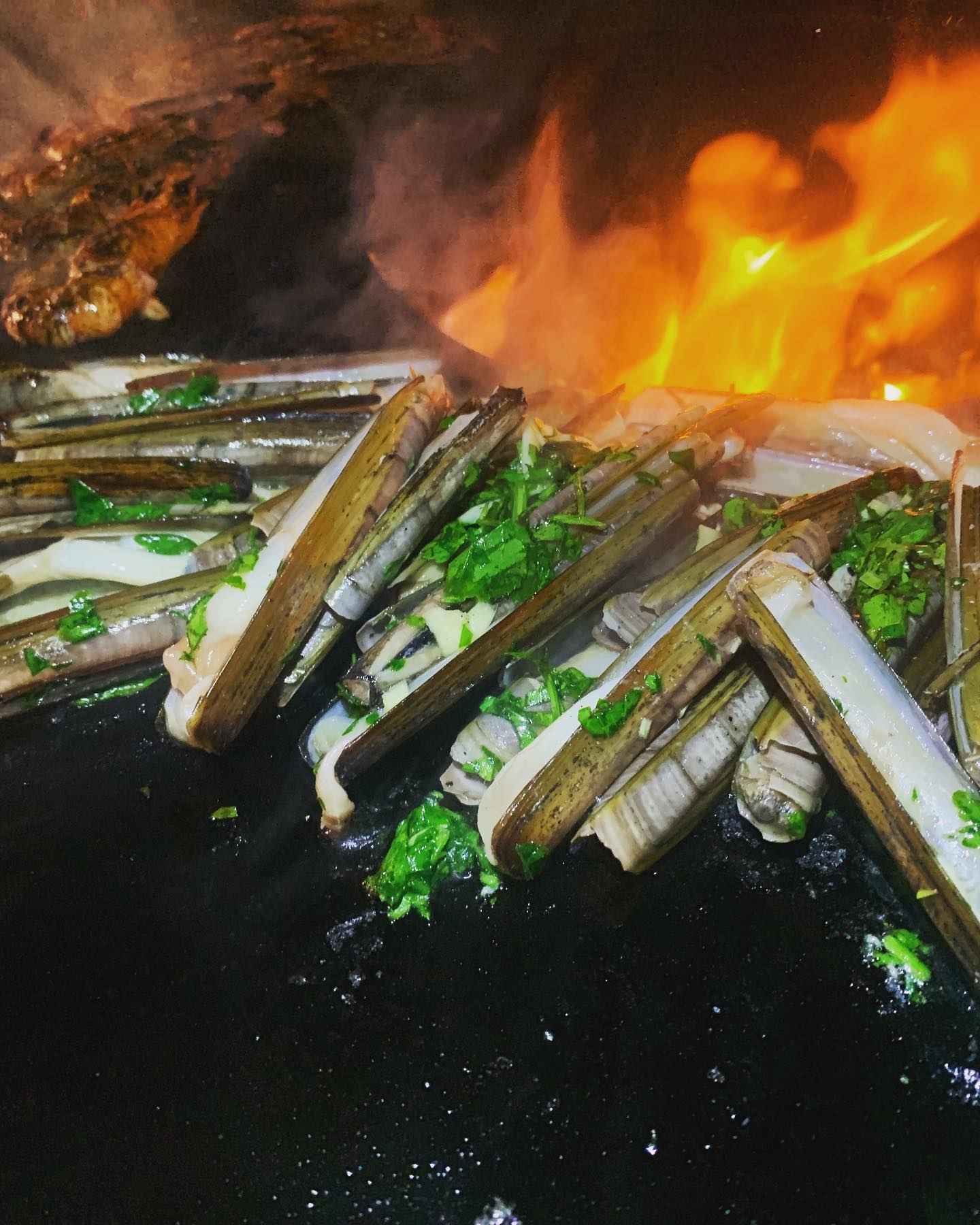 alt cuissons couteaux de mer au brasero plancha
